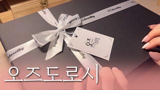 sub) 오즈도로시 신상과 랜덤박스 하울 | 협찬 | 문구하울 | vintage Stationery haul | 다꾸 ASMR