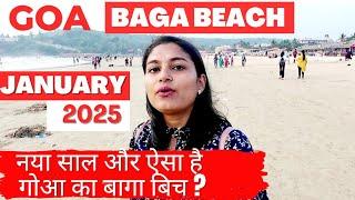 Goa Baga Beach January 2025 | Baga Beach | Goa