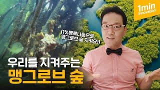 [Eng.] [1분 이노베이션] 맹그로브가 우리 자연 환경 보존에 정말 중요한 이유! (feat. 국제 맹그로브 생태계 보존의 날)