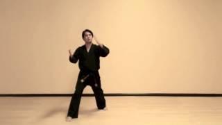 Do San (Step-By-Step) Tae Kwon Do