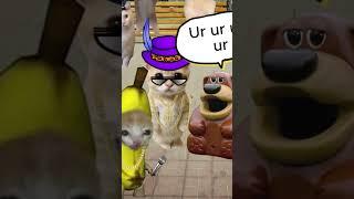 Banana Cat Rap Battle Part 7  #bananacat #catmemes #happycat #elgato #merrychristmas