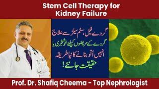 Role of Stem Cell Therapy In Kidney Failure