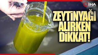 Zeytinyağı Alırken Dikkat, Sahtesi Nasıl Anlaşılır ?