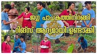 ഇന്ന് ജഗനാഥൻ വക അമ്മയെ സഹായിയ്ക്കൽ../Snacks recipe /Vazha Krishi /Chilli Krishi /Village cooking