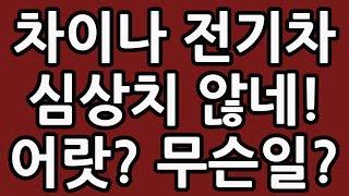 차이나 전기차 어랏? 심상치 않네! 과연 무슨일일까? 중국 주식 주가 전망 TIGER 타이거 ETF SOLACTIVE 테슬라 루시드 아이온큐 TQQQ SOXL TMF