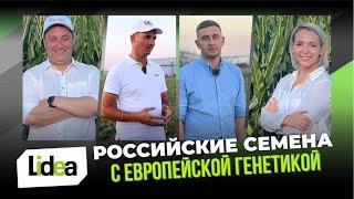 РОССИЙСКОЕ ПРОИЗВОДСТВО СЕМЯН. СЕЛЬСКОЕ ХОЗЯЙСТВО.  РАСТЕНИЕВОДСТВО. КОМПАНИЯ Lidea