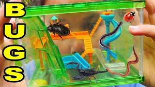 ZOE GOES ON A BUG HUNT