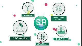 The products and CRO services of Sino Biological