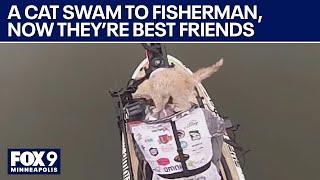 Fisherman catches cat while fishing, they become best friends