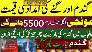 گندم اور گنے کی امدادی قیمت  Wheat price in punjab/گندم  کا ریٹ 2024/ makki till /Gallasuper munji