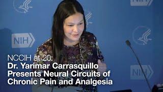 NCCIH at 20: Dr. Yarimar Carrasquillo Presents Neural Circuits of Chronic Pain and Analgesia