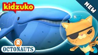 @Octonauts -  THE BLUE WHALE RESCUE  | BRAND NEW | Season 5 | Full Episode 1 | @Kidzuko Exclusive!