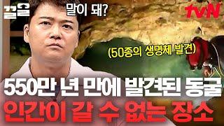 인간의 발길이 없는 지하 화성 같은 동굴 그런데 이곳에서 믿기 힘든 생태계가 발견됐다? | 프리한19