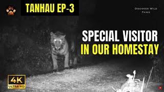 Living with Wild Animals | Homestay in Jim Corbett Where Tiger Comes Regularly - Tanhau Series 4K