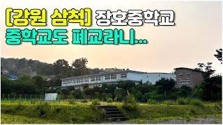 [강원 삼척] 중학교도 폐교라니... #장호중학교 #장호해수욕장 #바닷가폐교