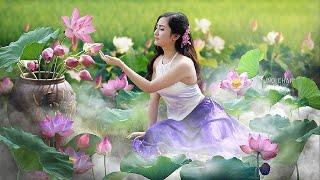 Vietnamese Music - Vietnamese Traditional Bamboo Flute - Relaxing Instrumental Music for Sleep