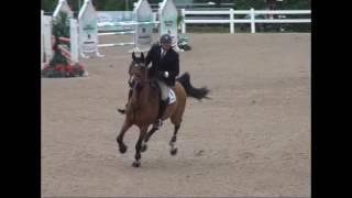 Jump Off Winning Round -  Bambino Chin P Ster