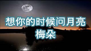 想你的时候问月亮   梅朵    +   lyrics