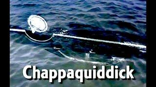 CHAPPAQUIDDICK: DID SENATOR TED KENNEDY COMMIT MURDER? CONSPIRACY AND COVERUP ON MARTHA’S VINEYARD