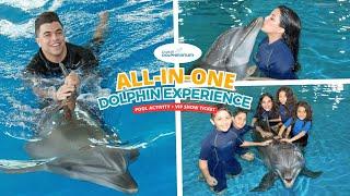 Ultimate Dolphin Adventure · Swim with Dolphins · Dubai Dolphinarium