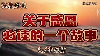 深度好文《关于感恩，人生必读的一个故事》真的要听听，不要错过