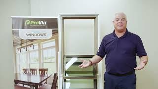 The Endure Line from Zen Windows