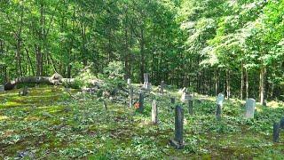 Storm Damage, Cogar Cemetery