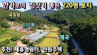 급매 평당 47만원 양평토지급매물/ 막힘없는 조망 편리한진입로 국유림숲세권/ 전 220평 보전관리지역 용문역 25분 제2영동고속도로 13키로 양평토지매매 [매번 -19710]