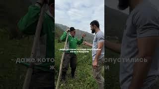 Кавказ - наш общий дом. Чеченцы и Ингуши #chechnya #mountains #nature #горы