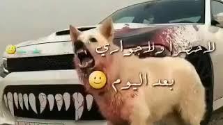 الدلهمية زحلا علي نايف العموري(3)