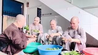 LẶT RAU É ĐỂ CHIÊN CƠM.