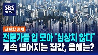 전국 집값 10주째 하락…올해 부동산 시장 전망은 / SBS / 친절한 경제