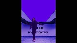 Transform Your Space: Mesmerizing RGB Lighting Syncs with Music | Iceil