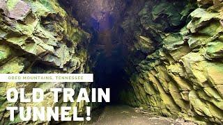 Found abandon train tunnel while trail riding through Tennessee! #outdooradventures