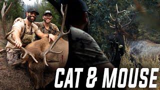 Chasing Pre-Rut Bulls in Idaho with Rich Froning!