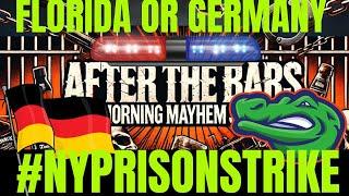  Morning Mayhem Show: Germany or Florida?  #germany #florida 