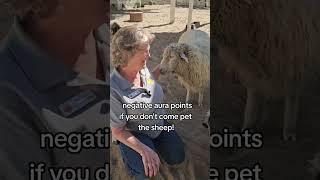 Gen-ZOO Slang at the Sedgwick County Zoo - PART 2
