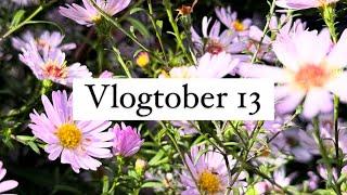 Vlogtober numéro 13#vlogtober #vlogtober2024