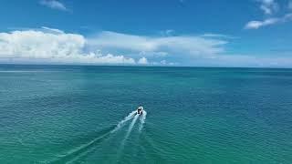 Dolphin and Whale Watching, Kalpitiya