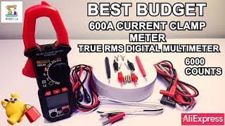 Full Review 600A Current Clamp True RMS Digital Multimeter | 6000 Counts | ANENG PN103 AC/DC Clamp