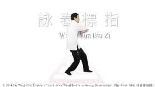 Wing Chun Biu Zi Form (詠春標指)