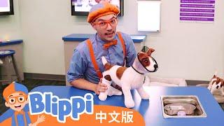 和布利皮了解职业 | Blippi 中文版 | 儿童教育视频 | 实景探索