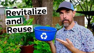 HOW TO REVITALIZE AND REUSE OLD POTTING SOIL