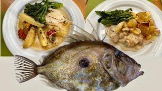 John Dory - Catch, Clean and Cook - Perfect Autumn Food