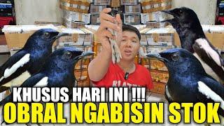 TUMPAH RUAH !!! RATUSAN KACER BAHAN KIRIMAN PEMIKAT KALIMANTAN DIJUAL MURAH HARI INI DIKIOS SIGIT