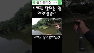 스키핑 더럽게 잘되는 소프트베이트  #배스낚시 #fishing #들어뽕피싱 #bass #하인켈콤마