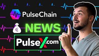 PulseChain PREIS? Wird es NIE wieder günstiger? DAS MUSST du wissen!