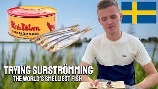 Eating Surströmming (The SMELLIEST Fish in the WORLD) - Just a Brit Abroad