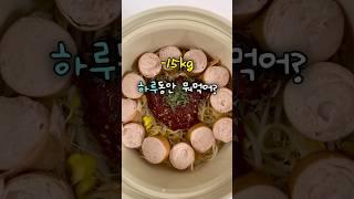 60kg로 돌아가지 않기 위한 식단 일기
