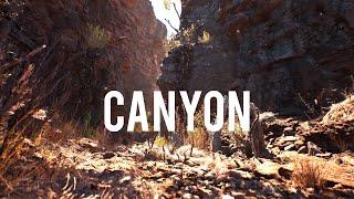 Unreal Engine 5.4.2 render II "CANYON" II #render #unrealengine5 #megascans